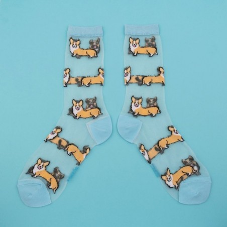 Chaussettes rigolotes transparentes chien Corgi de la marque Coucou Suzette